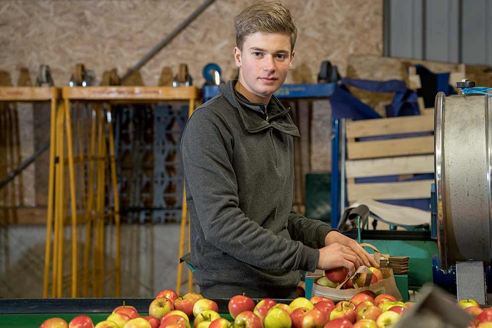 Apfel-Sortierung Regionalobst